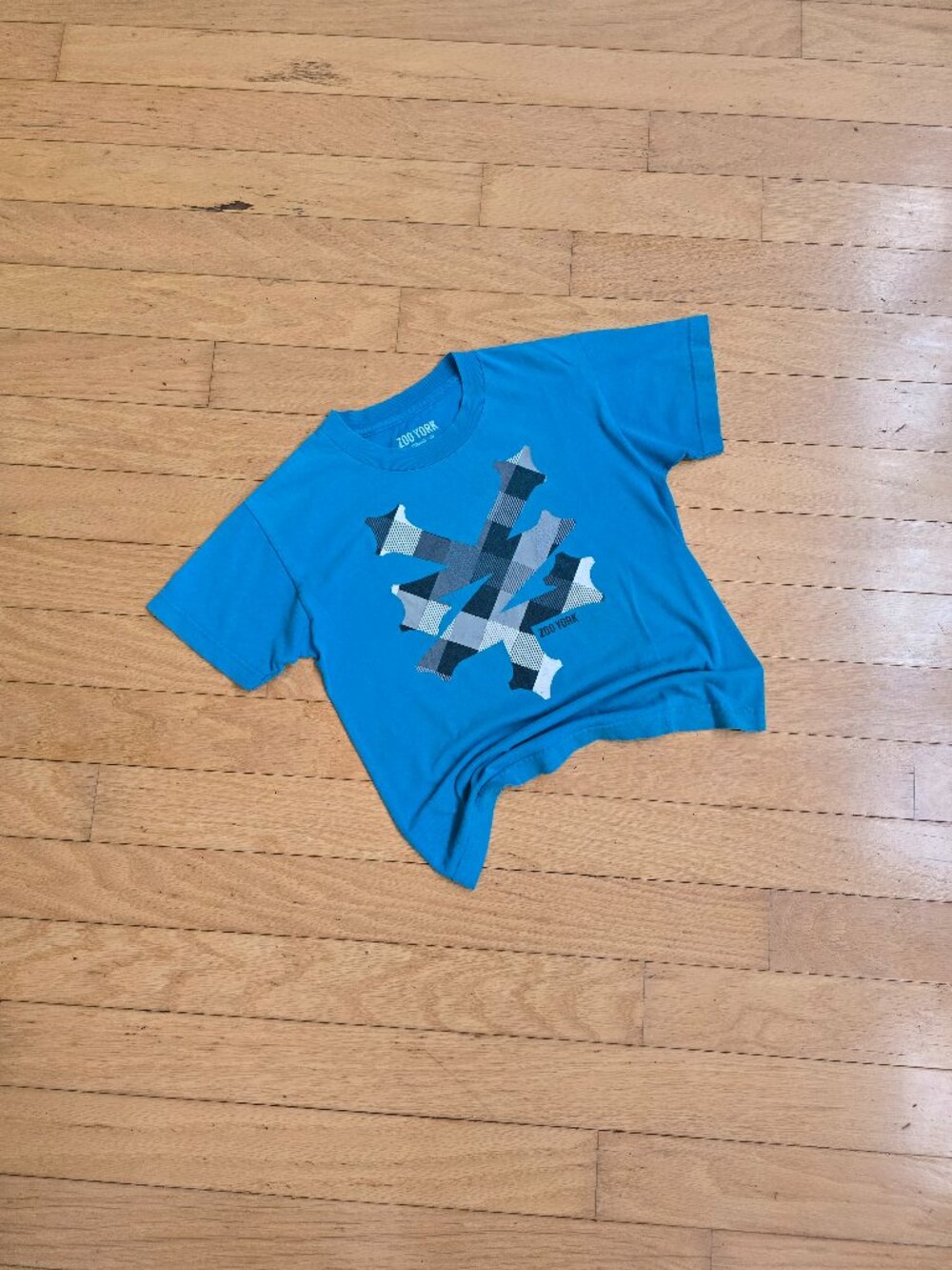 Vintage Y2K | Zoo York Blue Graphic Grunge Skater Baby T-Shirt | WMS XS